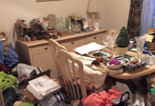 Hoarding clearance crew scoping a cluttered property